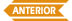 anterior